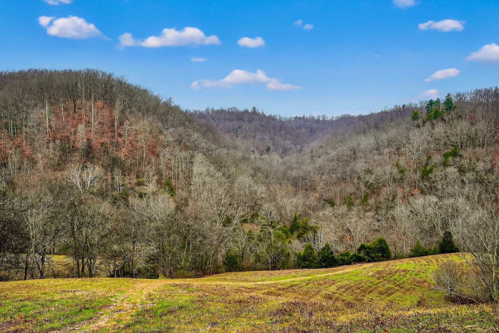 2578 Pea Ridge Rd Property Photo 2