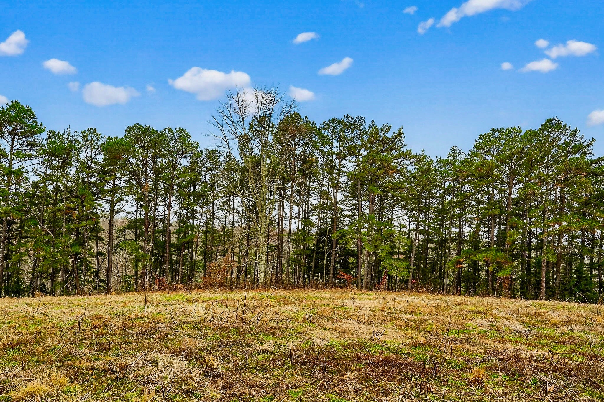2578 Pea Ridge Rd Property Photo 9