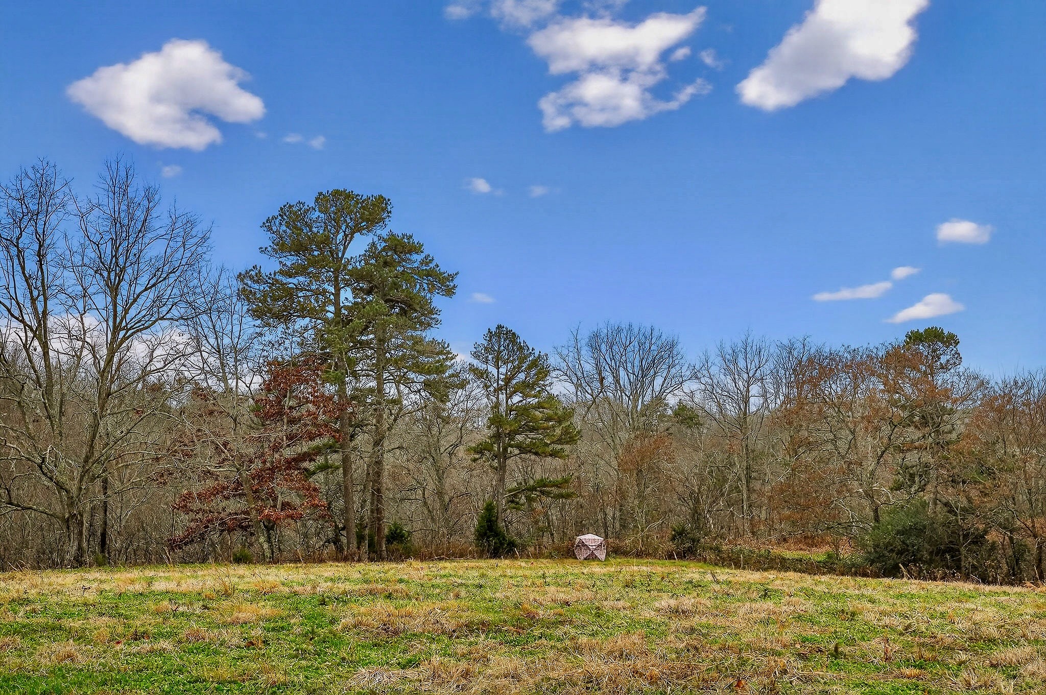 2578 Pea Ridge Rd Property Photo 10