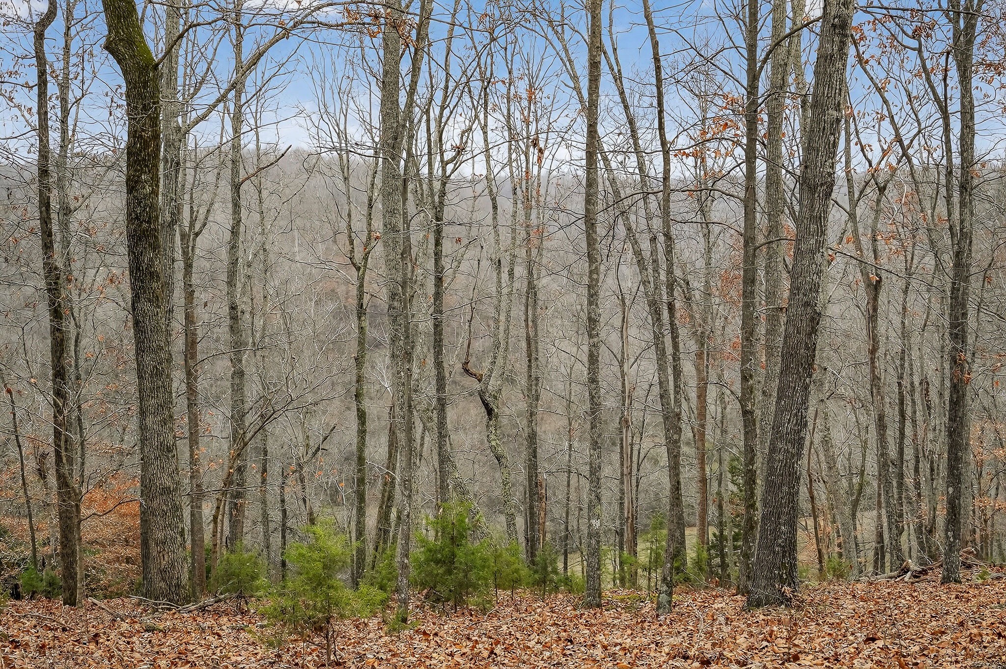 2578 Pea Ridge Rd Property Photo 22