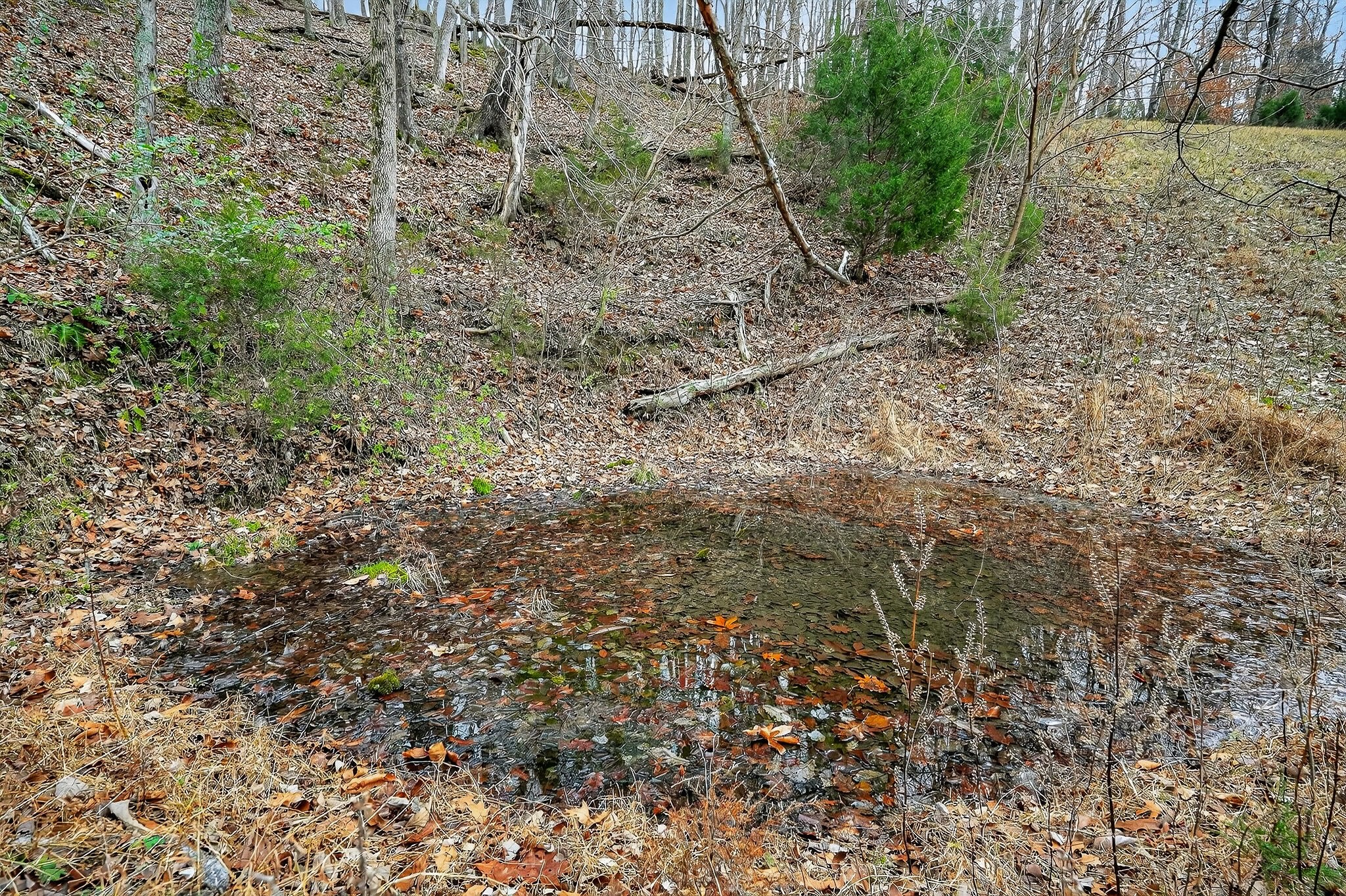 2578 Pea Ridge Rd Property Photo 23