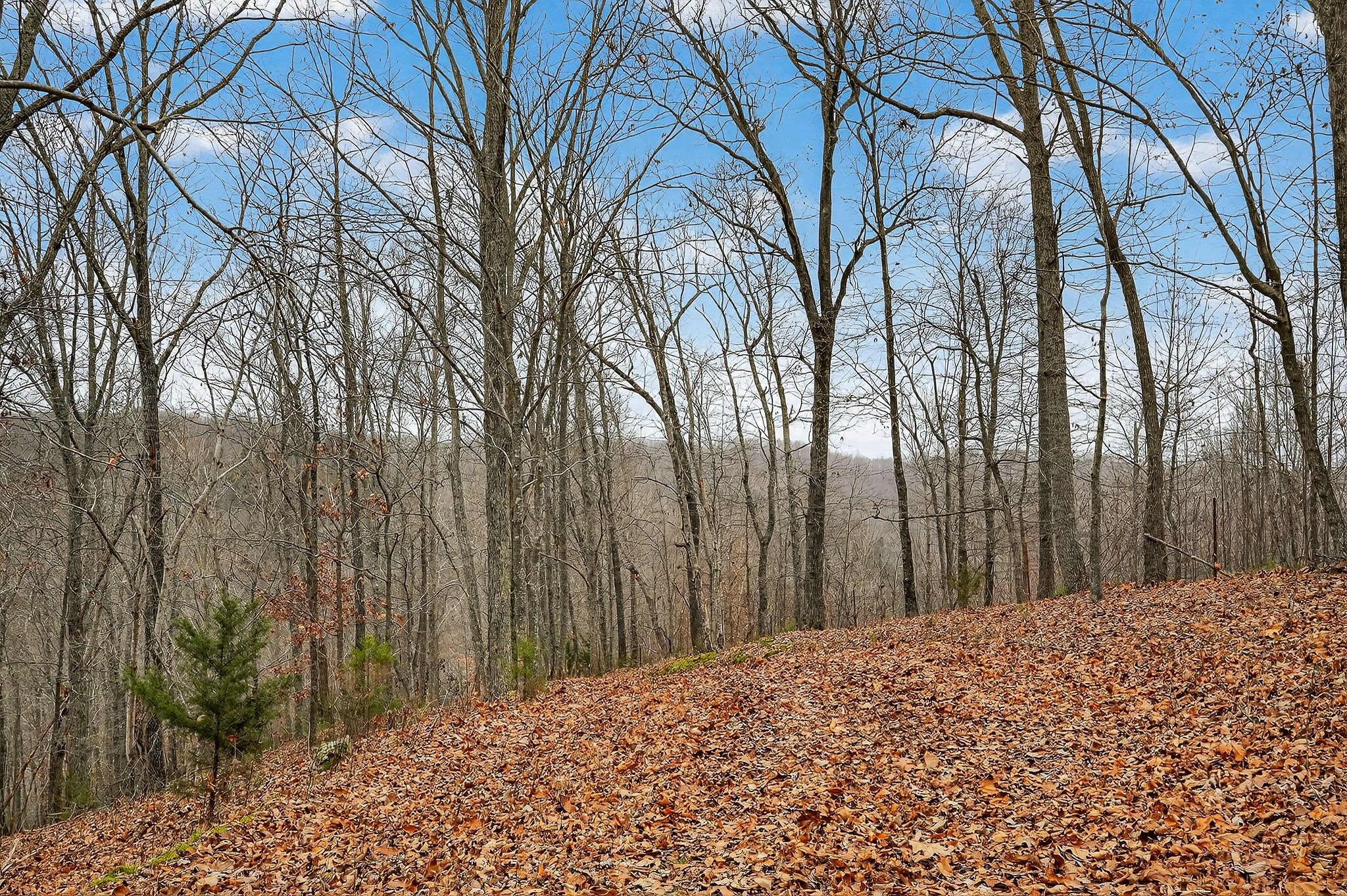 2578 Pea Ridge Rd Property Photo 24