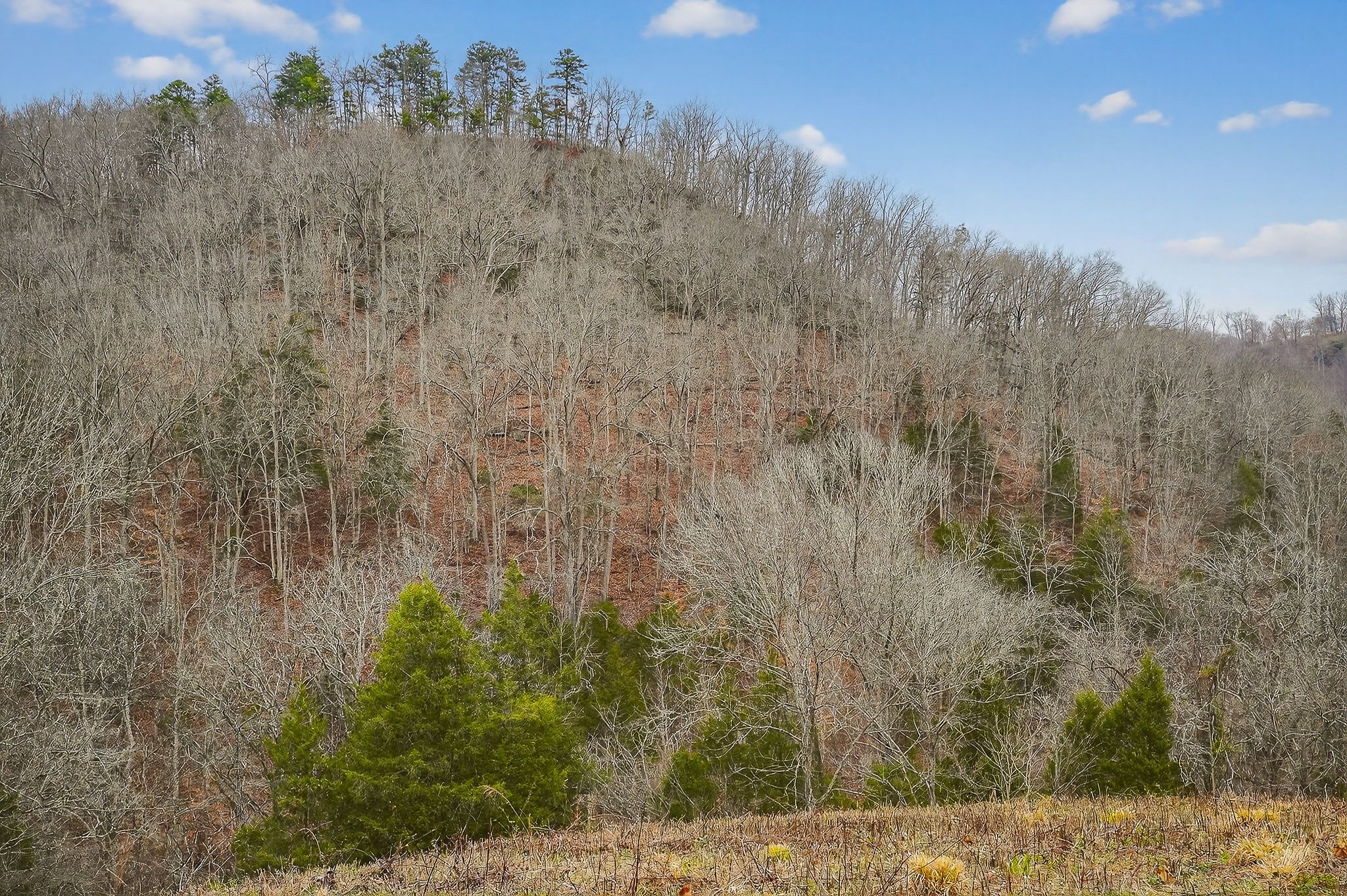 2578 Pea Ridge Rd Property Photo 27