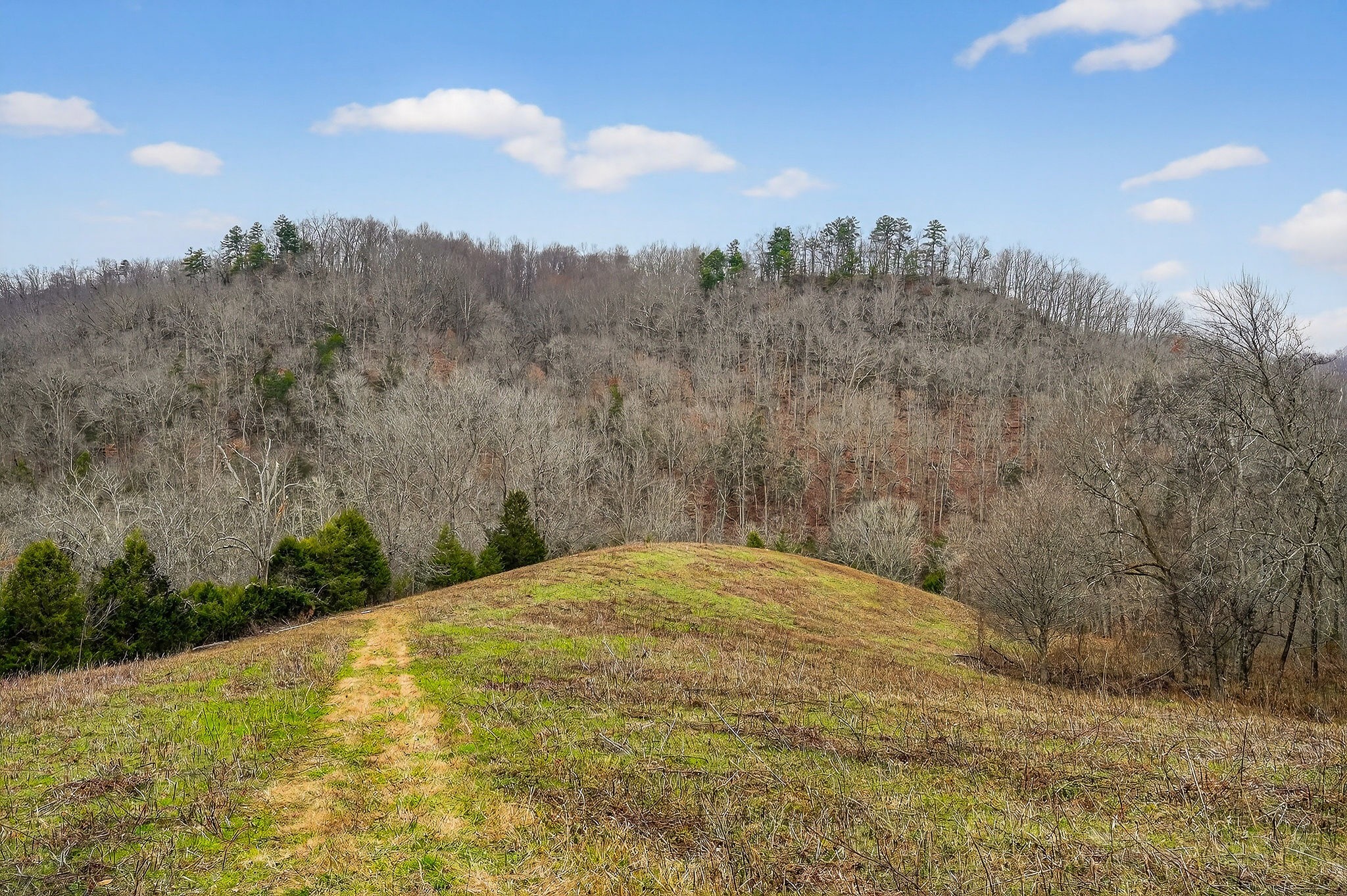 2578 Pea Ridge Rd Property Photo 28