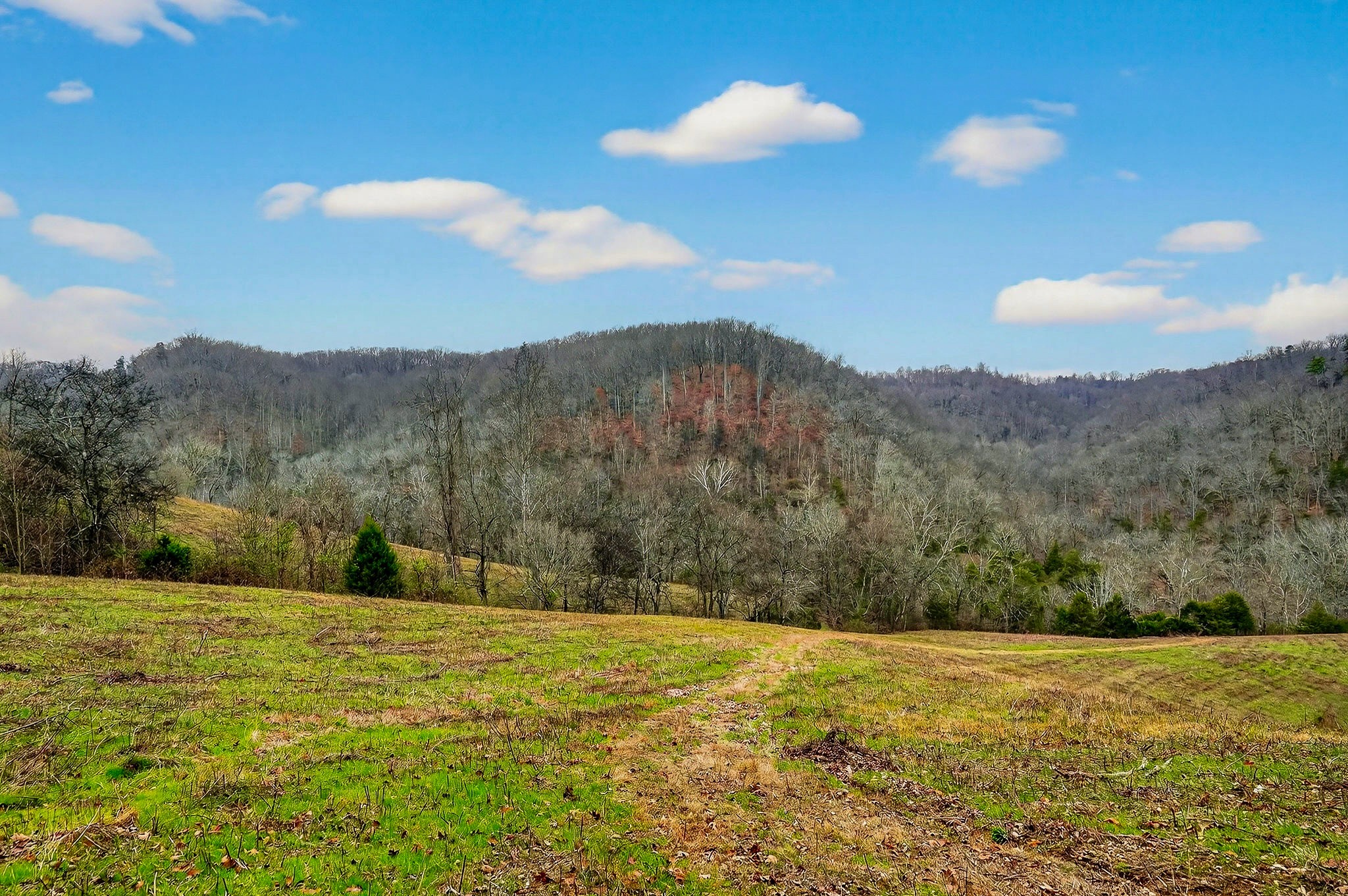 2578 Pea Ridge Rd Property Photo 29