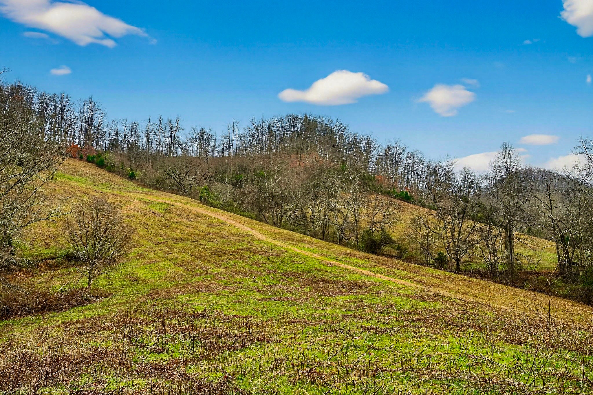 2578 Pea Ridge Rd Property Photo 30