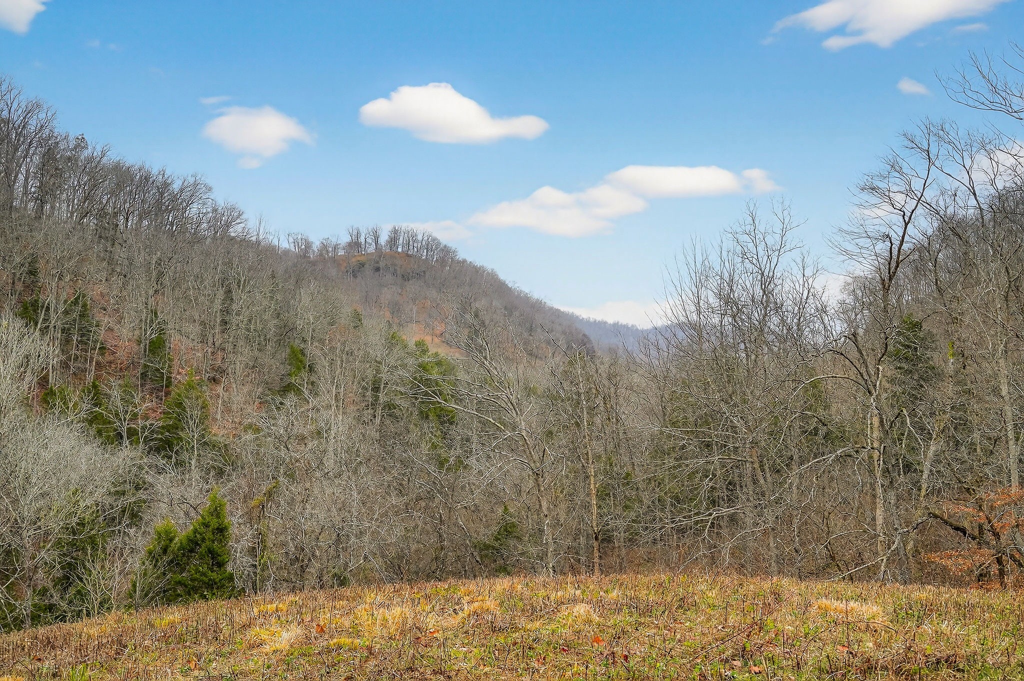 2578 Pea Ridge Rd Property Photo 31