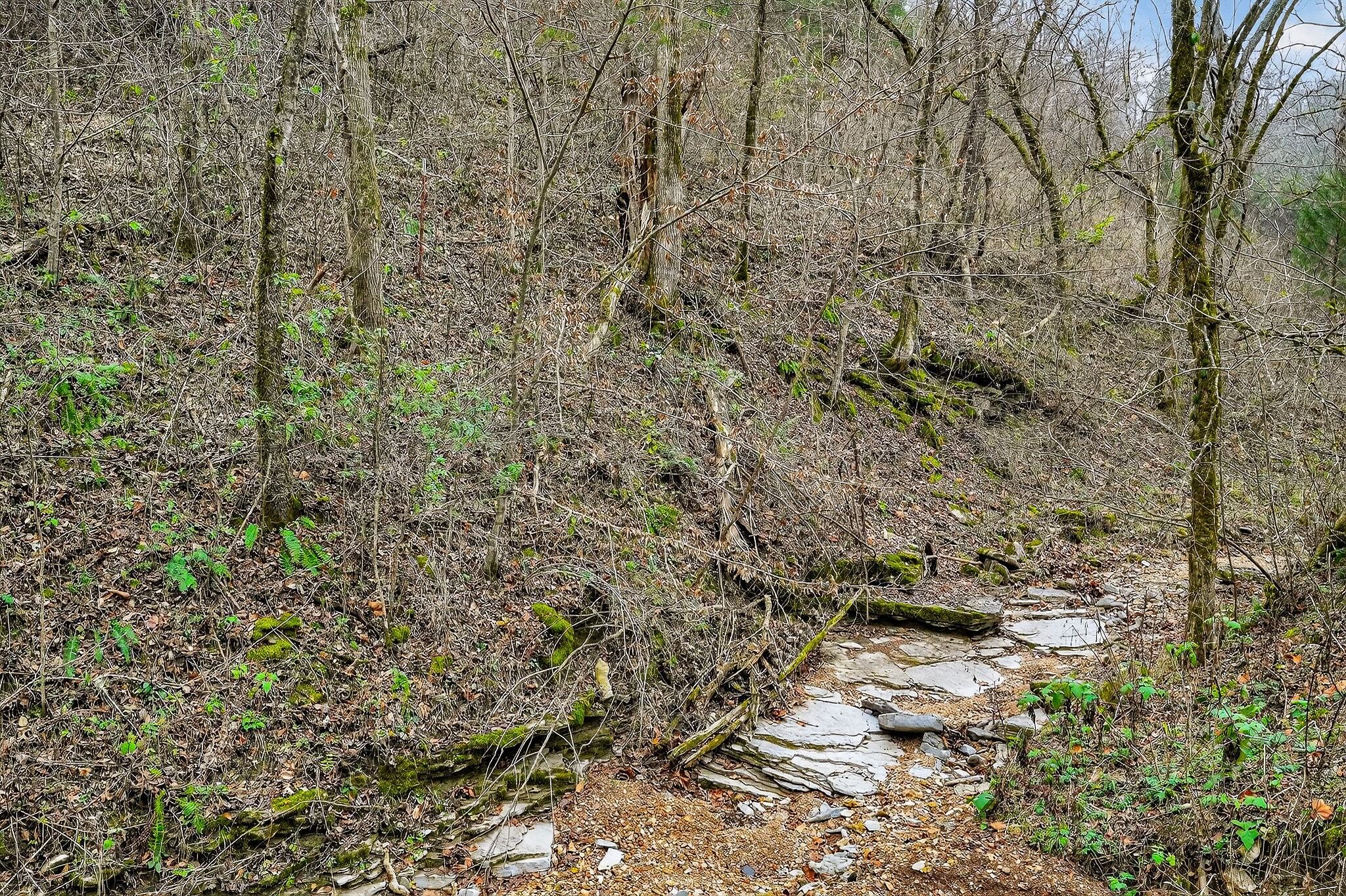 2578 Pea Ridge Rd Property Photo 32