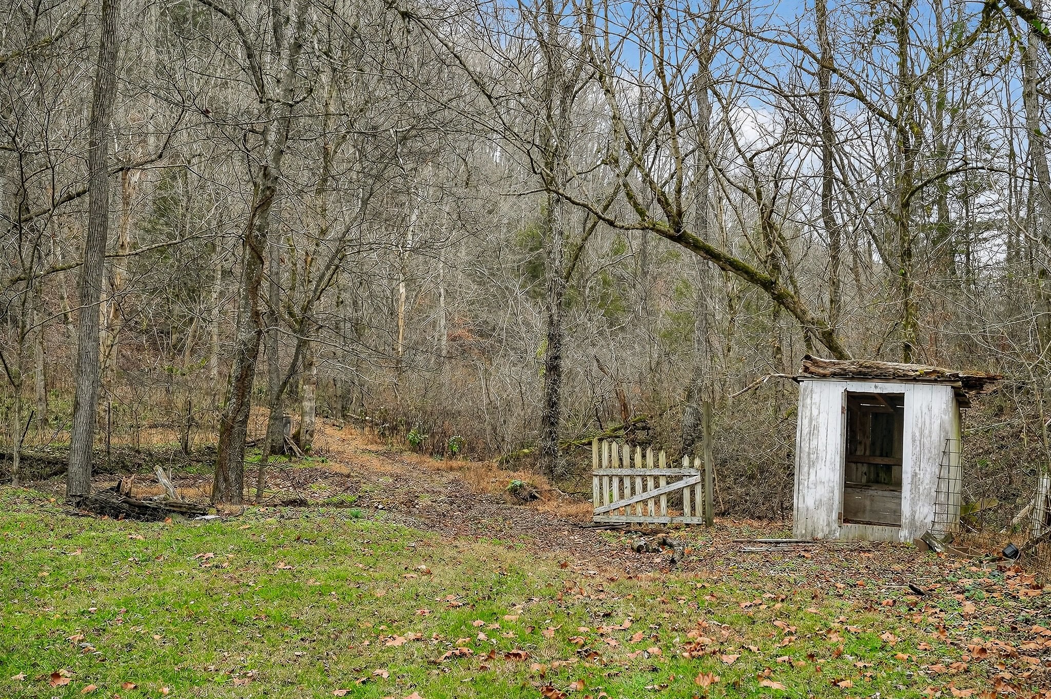 2578 Pea Ridge Rd Property Photo 35