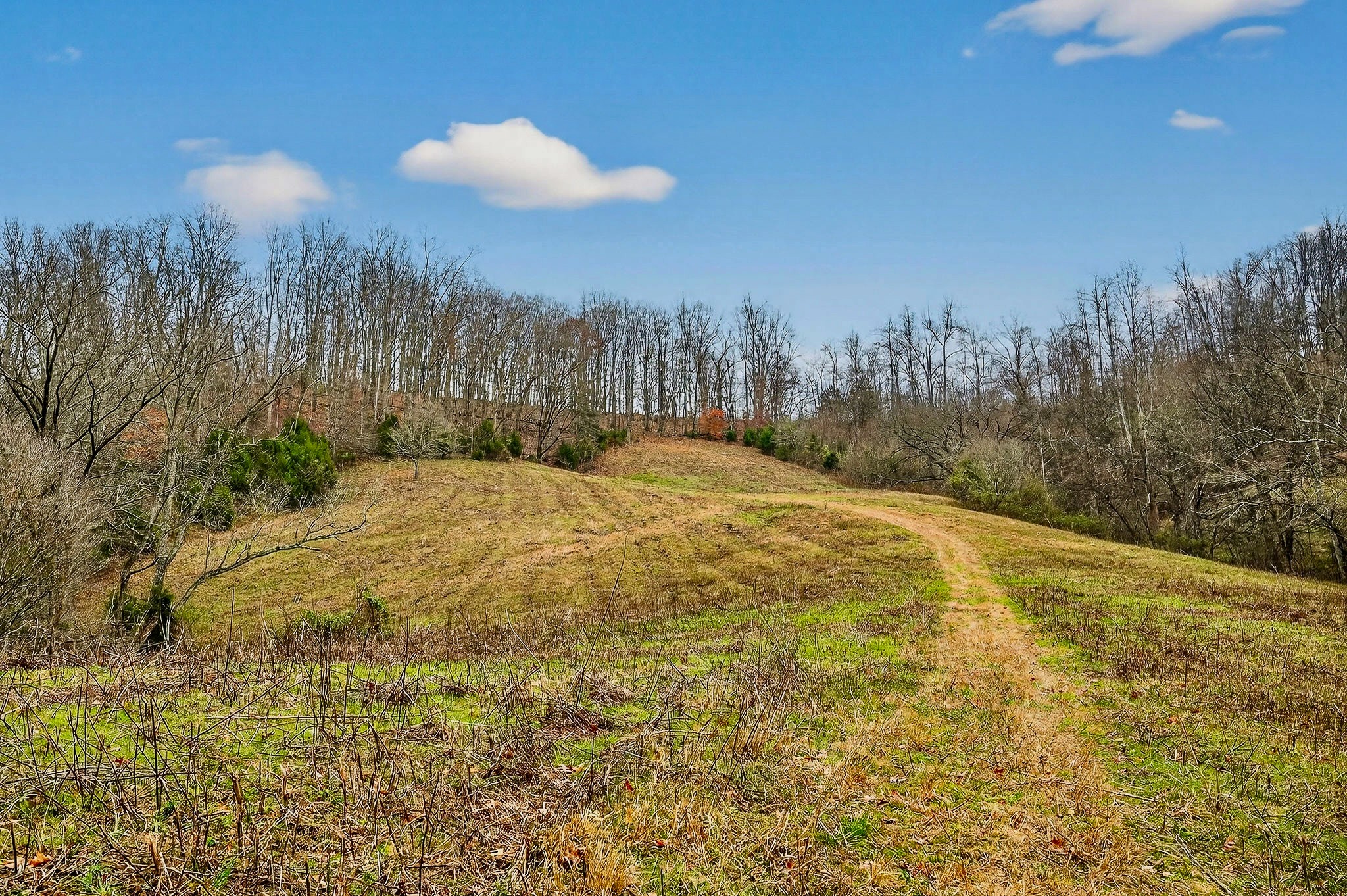 2578 Pea Ridge Rd Property Photo 37