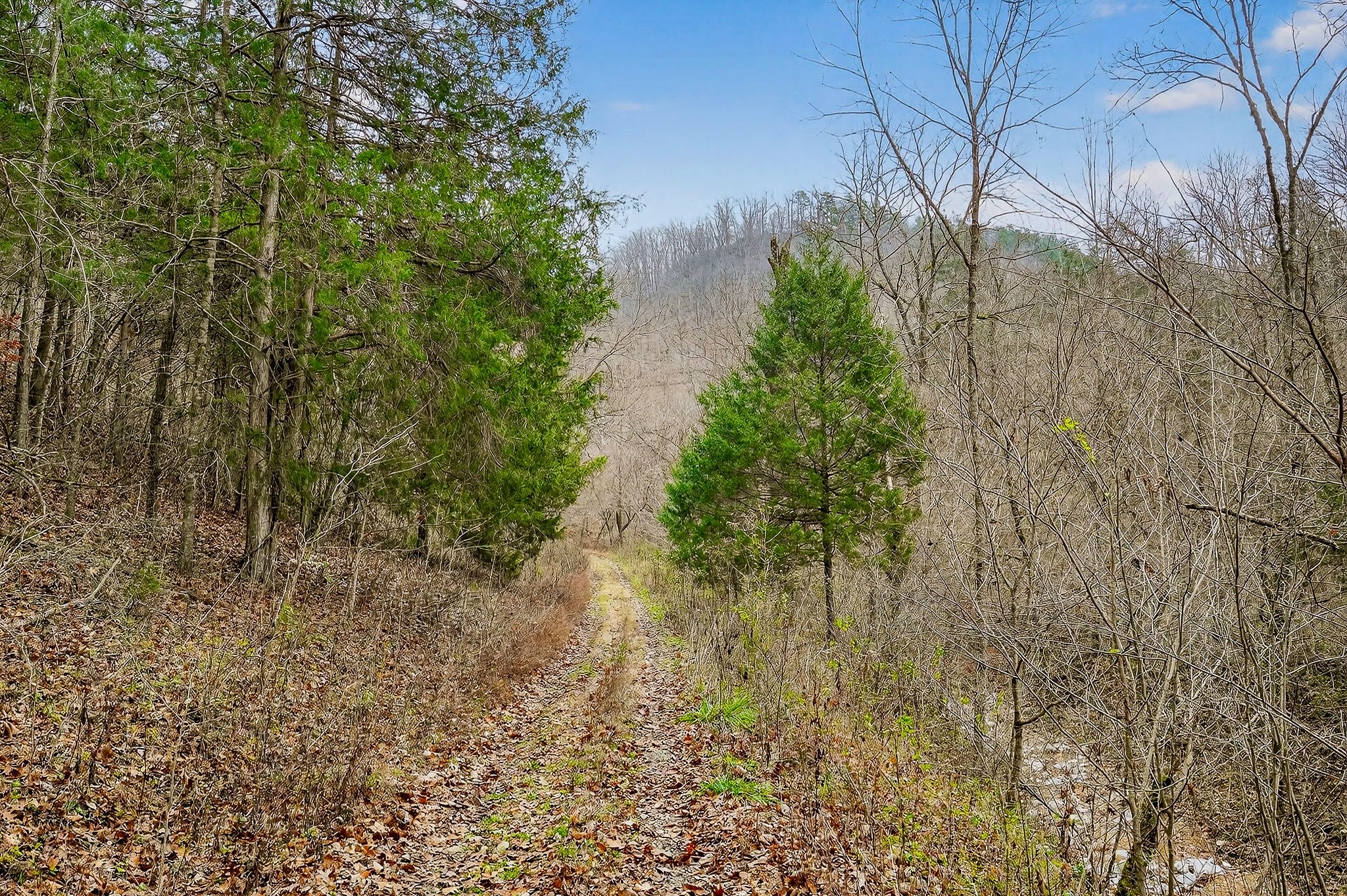 2578 Pea Ridge Rd Property Photo 39