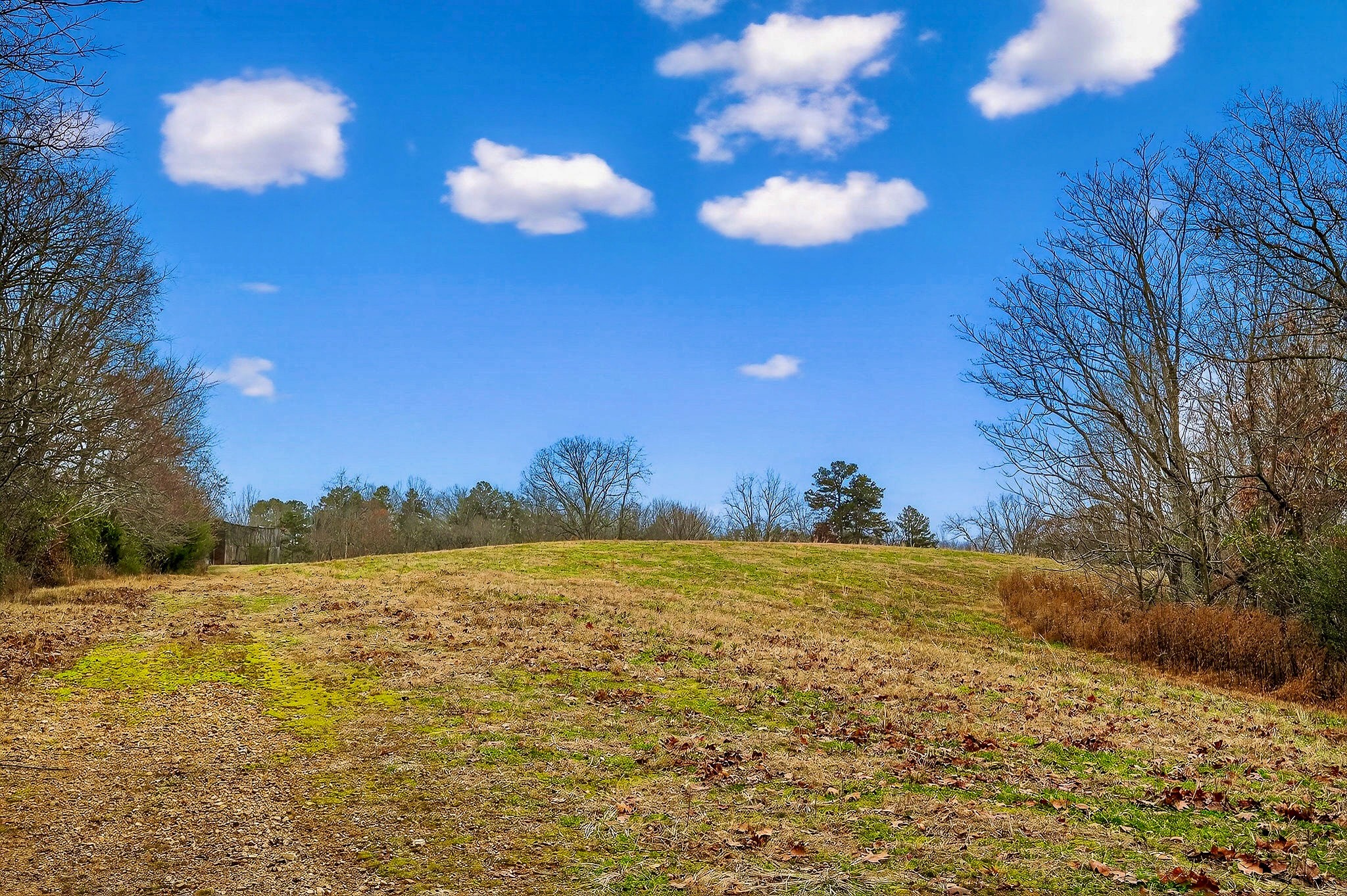 2578 Pea Ridge Rd Property Photo 40