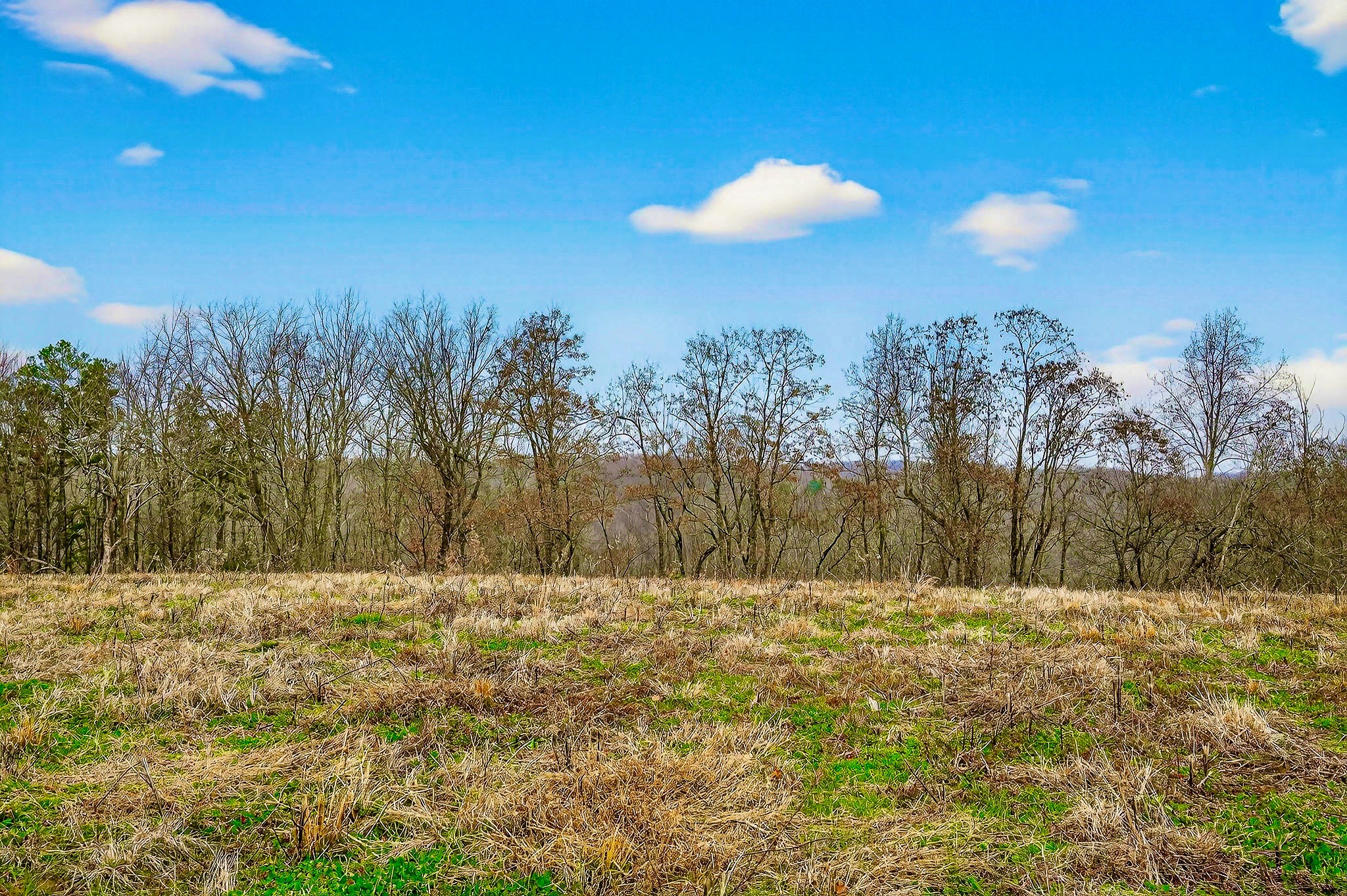 2578 Pea Ridge Rd Property Photo 41