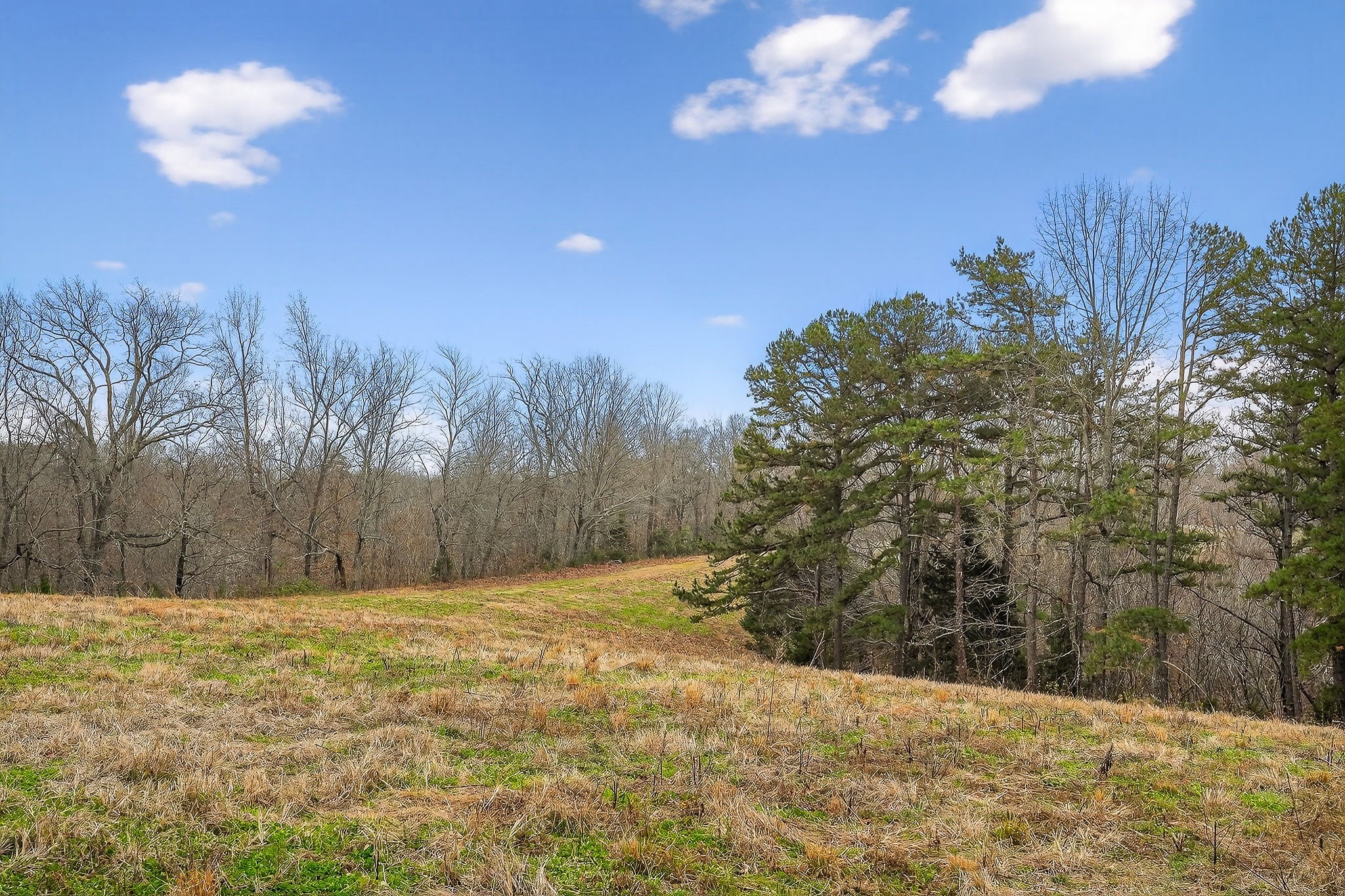 2578 Pea Ridge Rd Property Photo 42