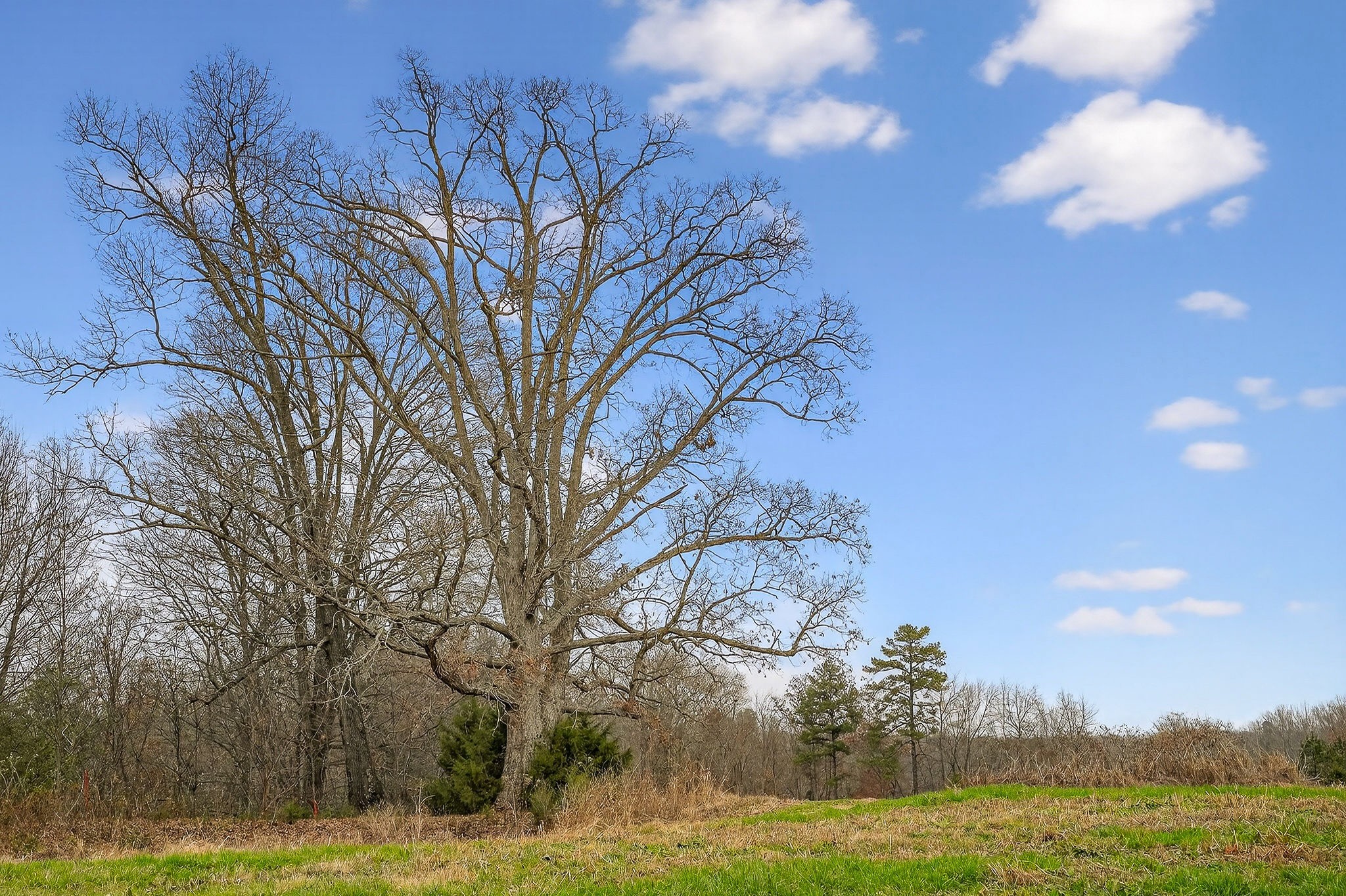 2578 Pea Ridge Rd Property Photo 44