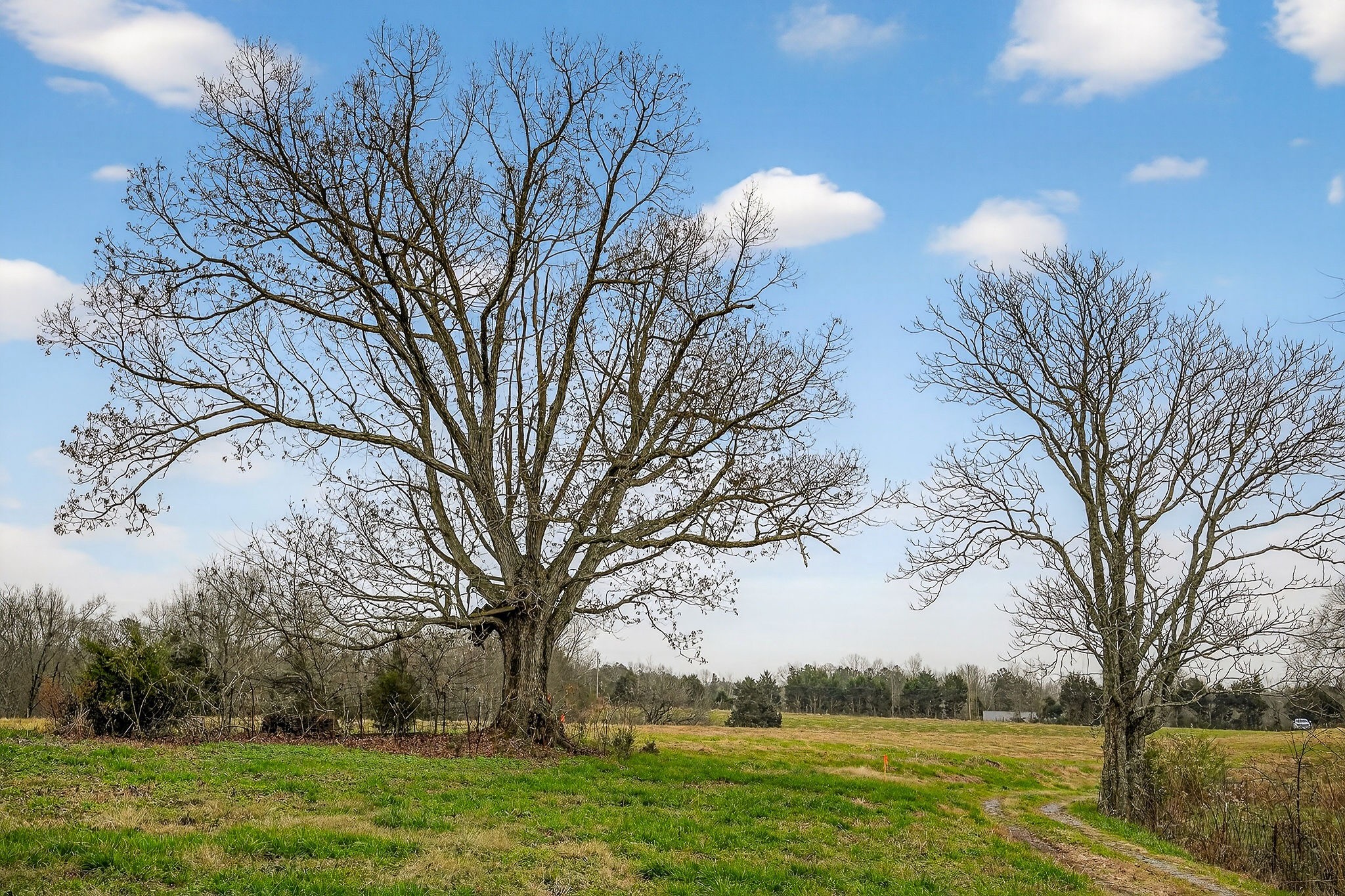 2578 Pea Ridge Rd Property Photo 45