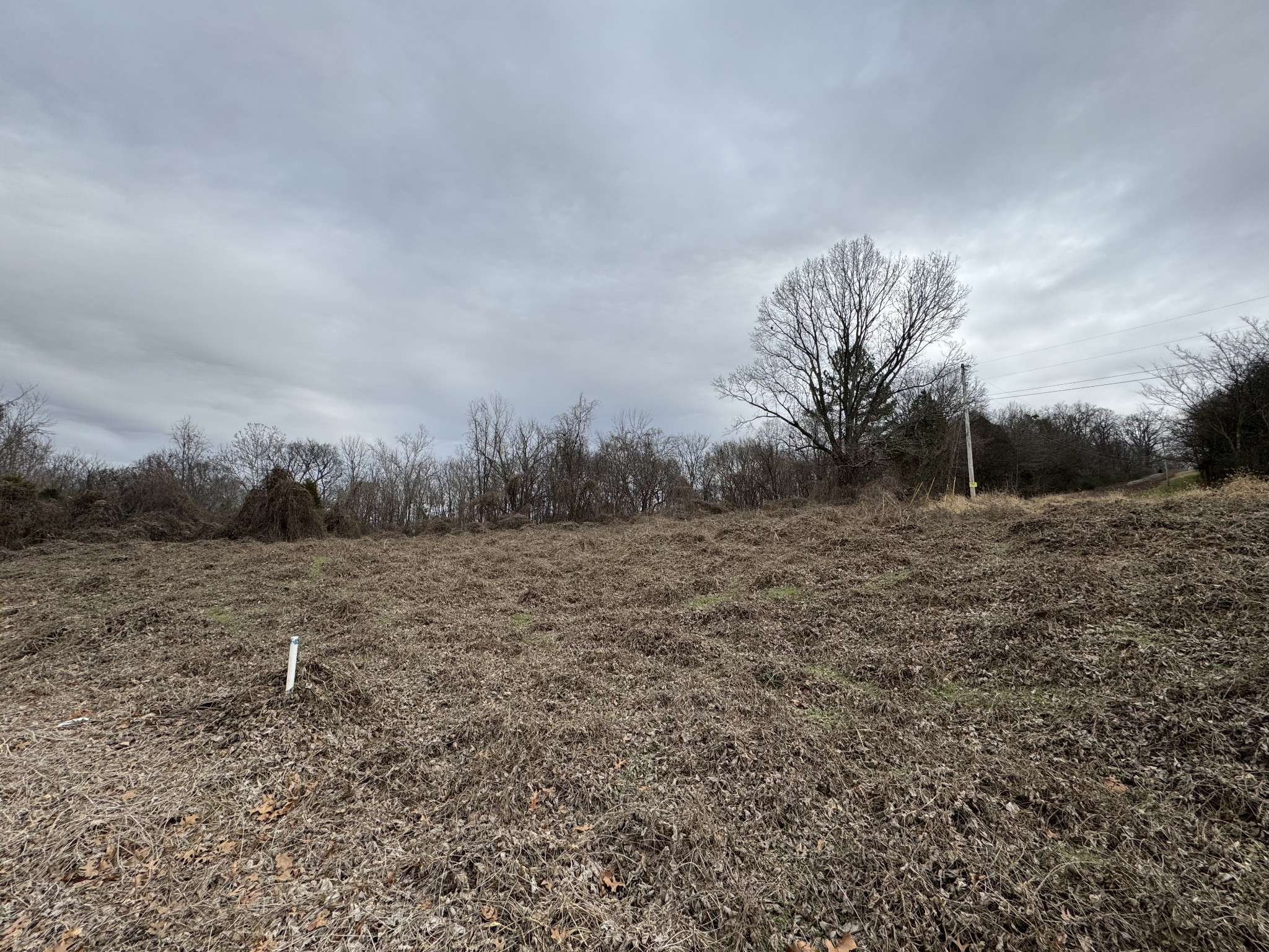 7119 Polk Ln Property Photo 1
