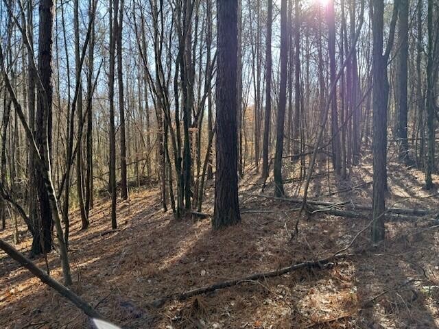 7 Hwy 11 Property Photo 1
