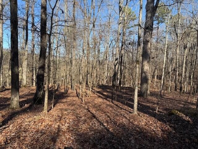 1 County Road 751 Property Photo 1