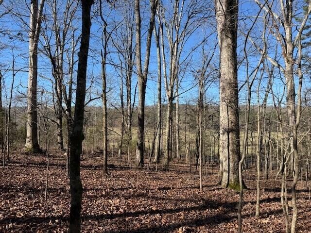 1 County Road 751 Property Photo 3