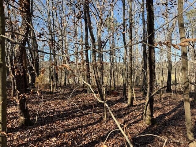 1 County Road 751 Property Photo 7