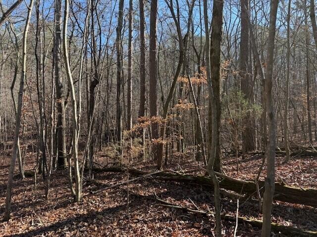 1 County Road 751 Property Photo 9