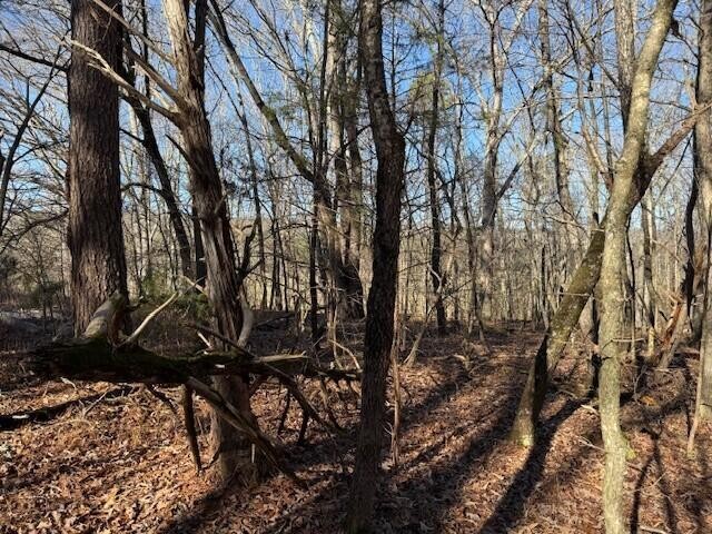 1 County Road 751 Property Photo 10