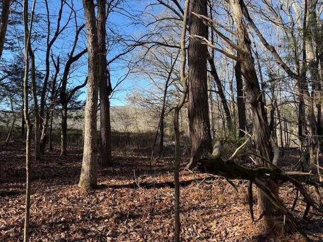1 County Road 751 Property Photo 11