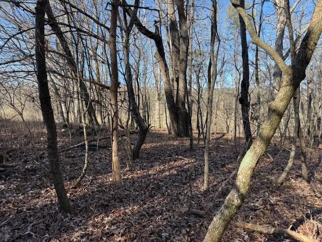 1 County Road 751 Property Photo 12