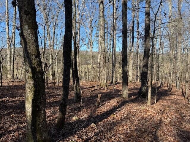 1 County Road 751 Property Photo 13