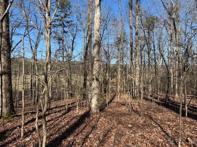 1 County Road 751 Property Photo 14