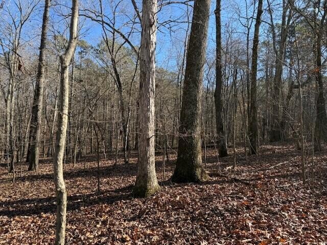 1 County Road 751 Property Photo 15