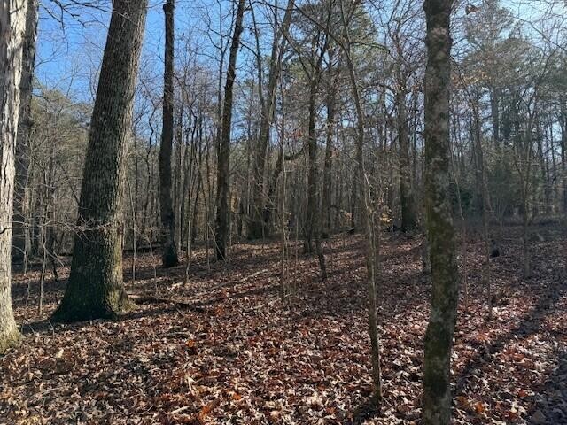1 County Road 751 Property Photo 16