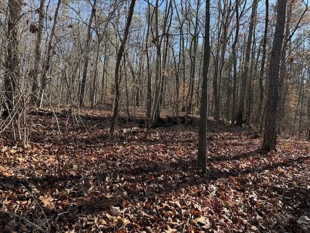 2 County Road 751 Property Photo 1