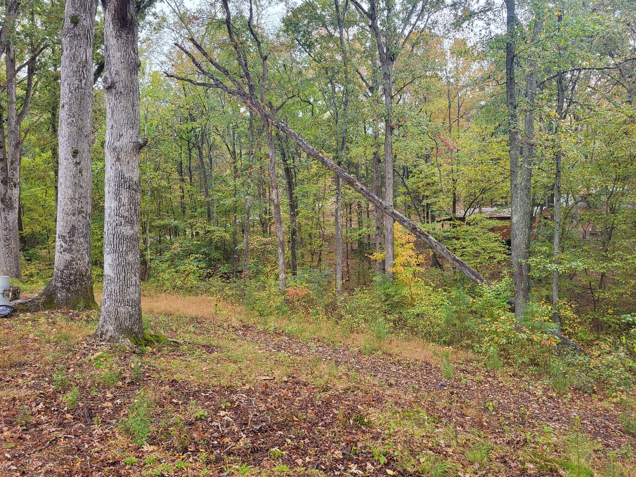 60 White Oak Dr Property Photo 14