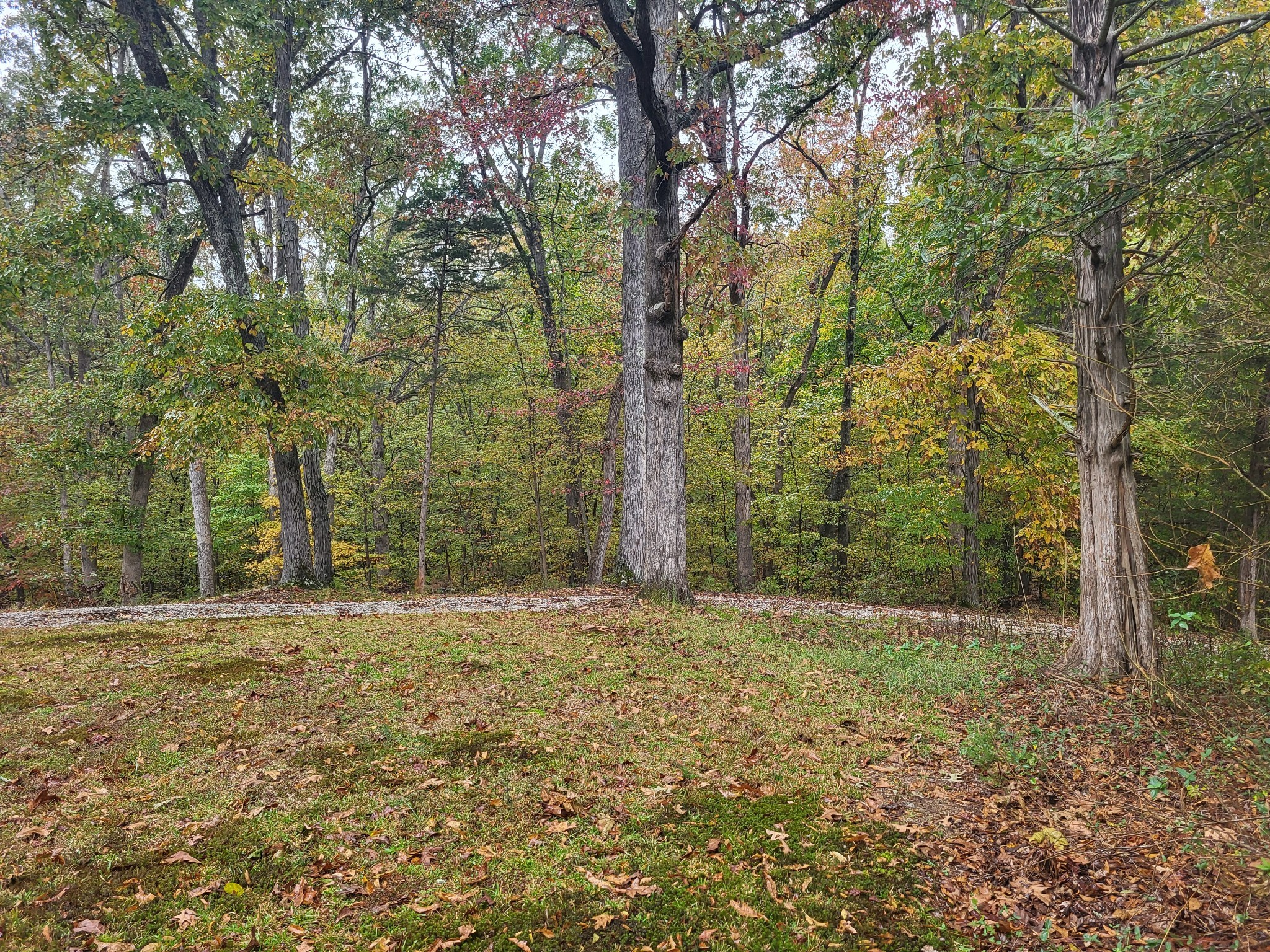 60 White Oak Dr Property Photo 16