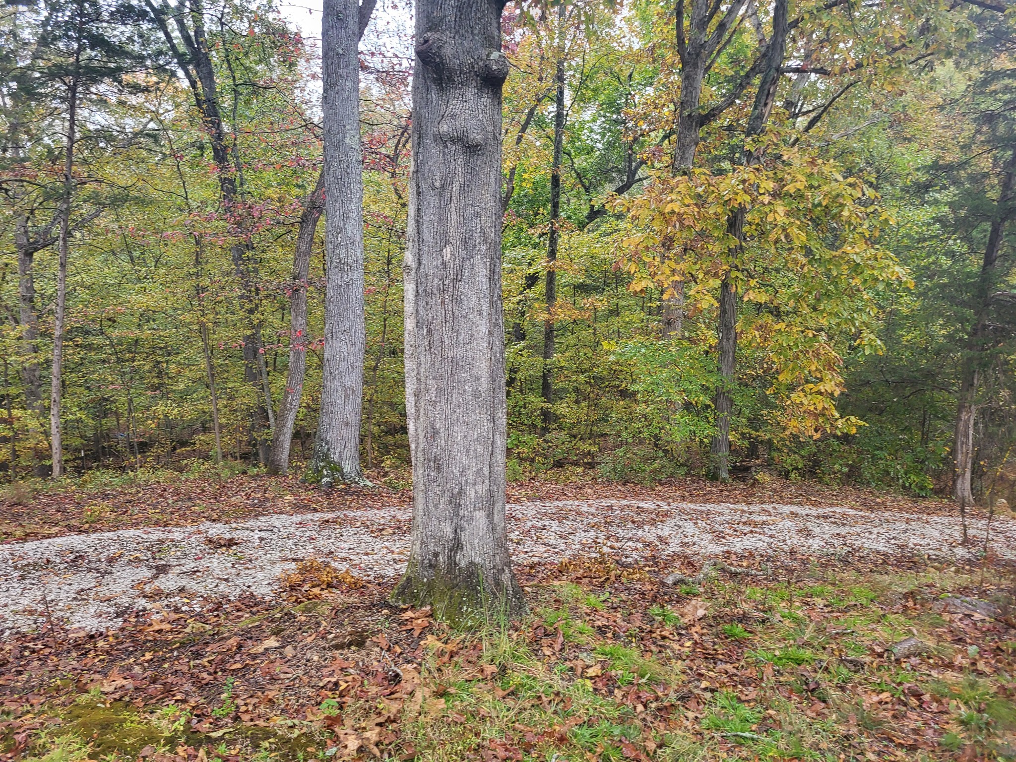 60 White Oak Dr Property Photo 17