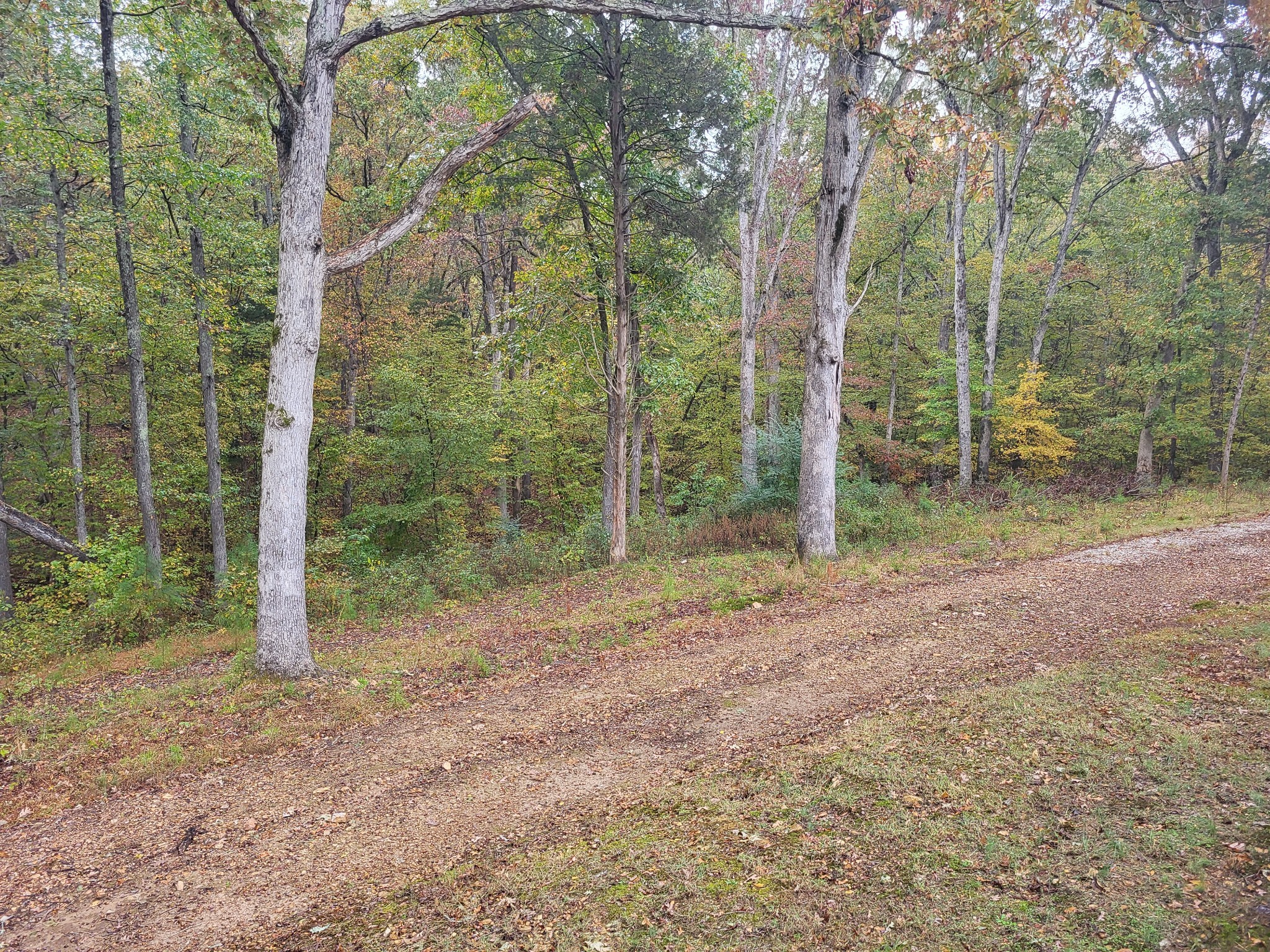 60 White Oak Dr Property Photo 18