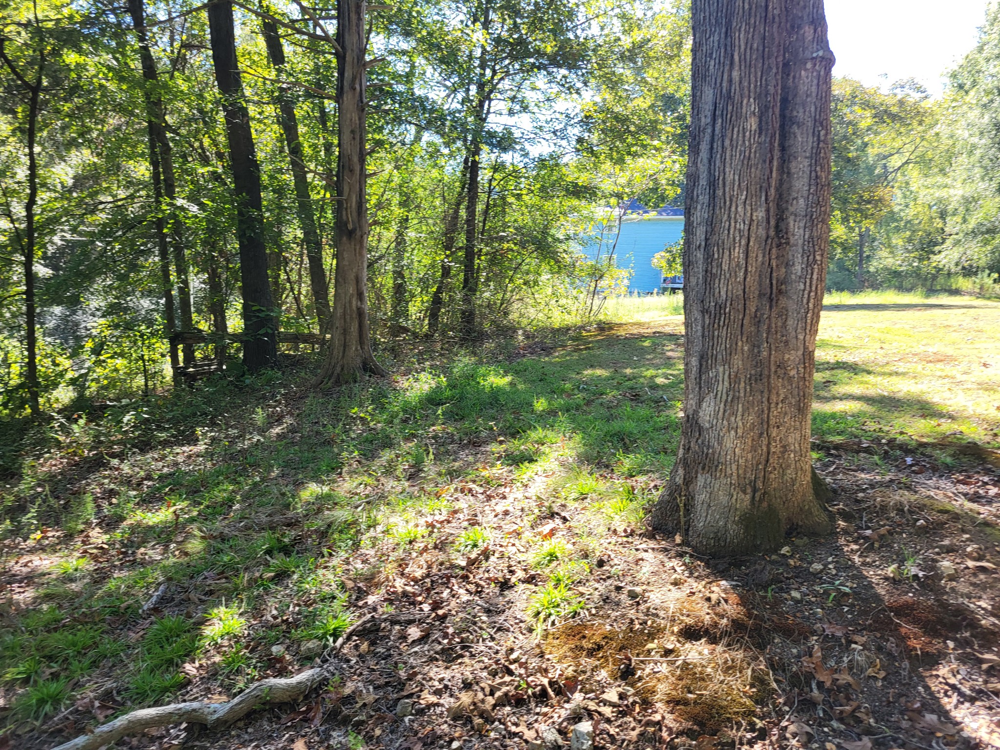 60 White Oak Dr Property Photo 23