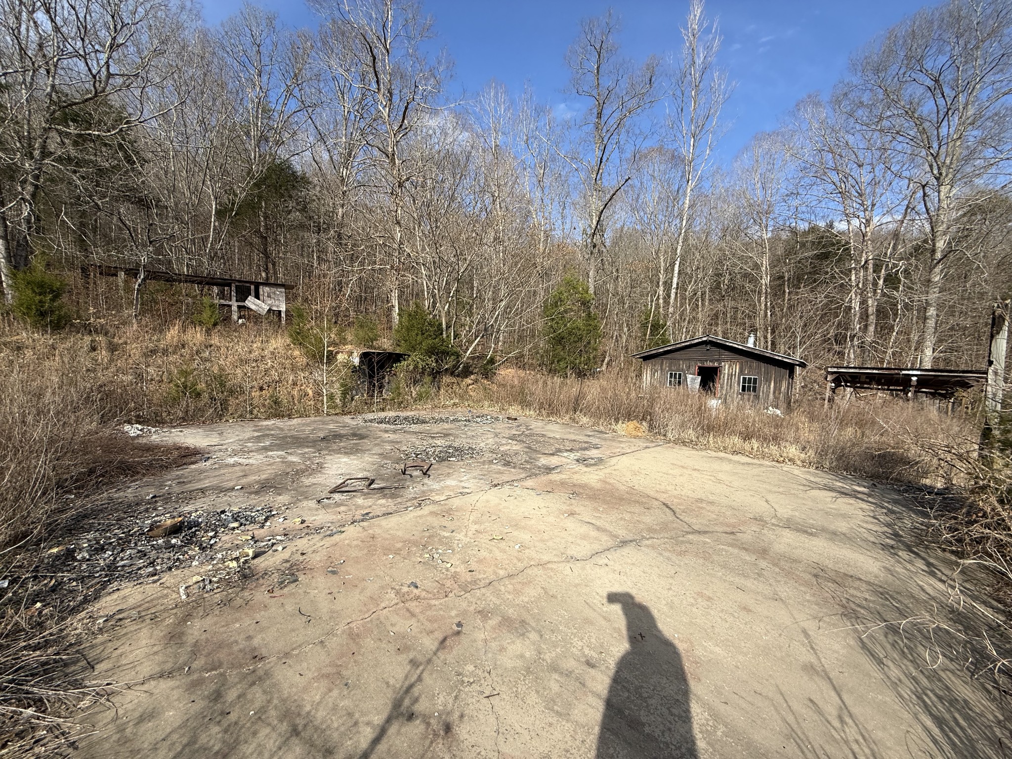 4819 Morrison Creek Rd Property Photo 4