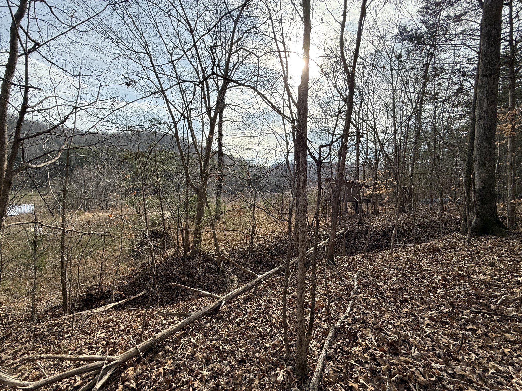 4819 Morrison Creek Rd Property Photo 13