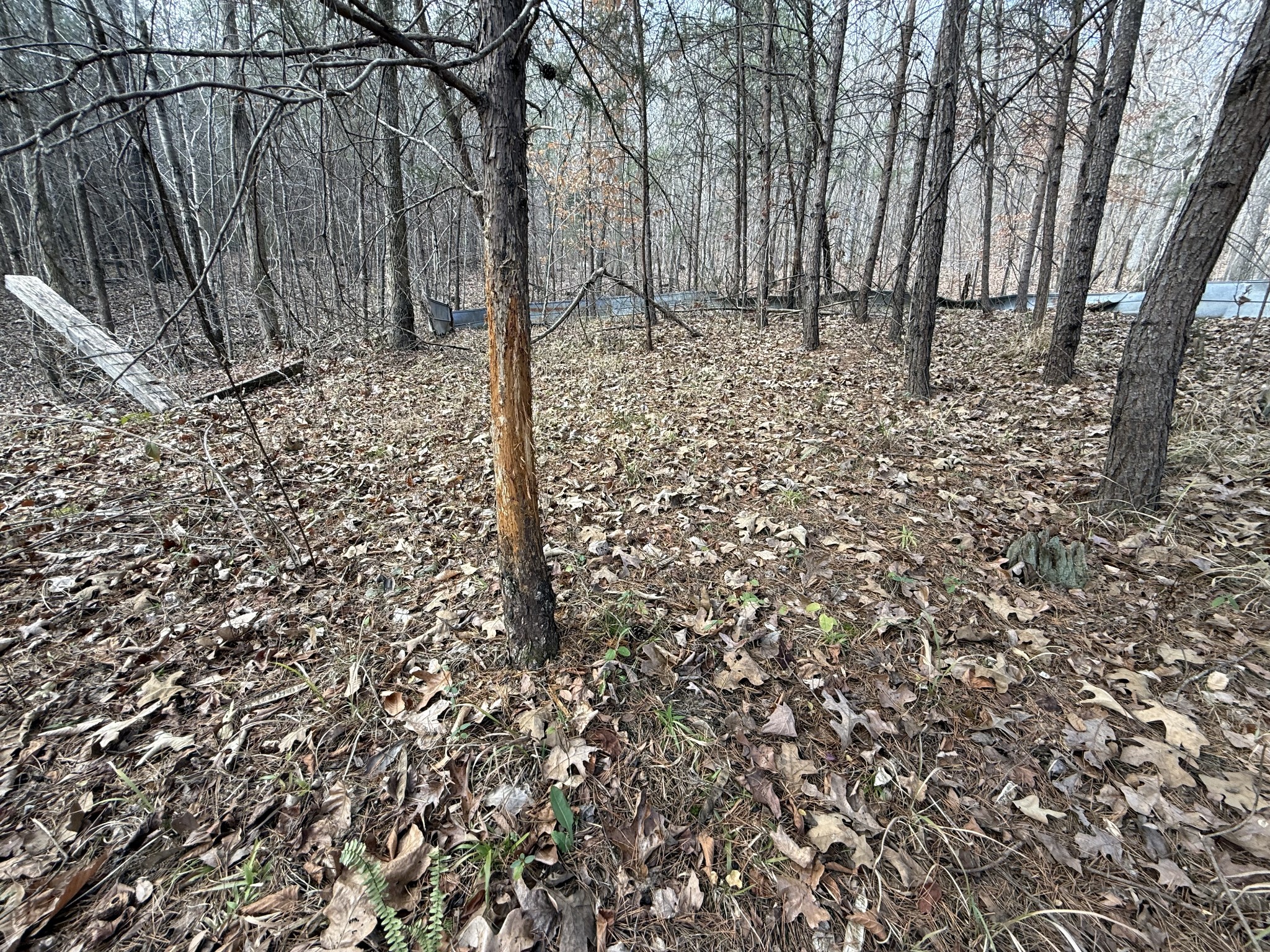 4819 Morrison Creek Rd Property Photo 16
