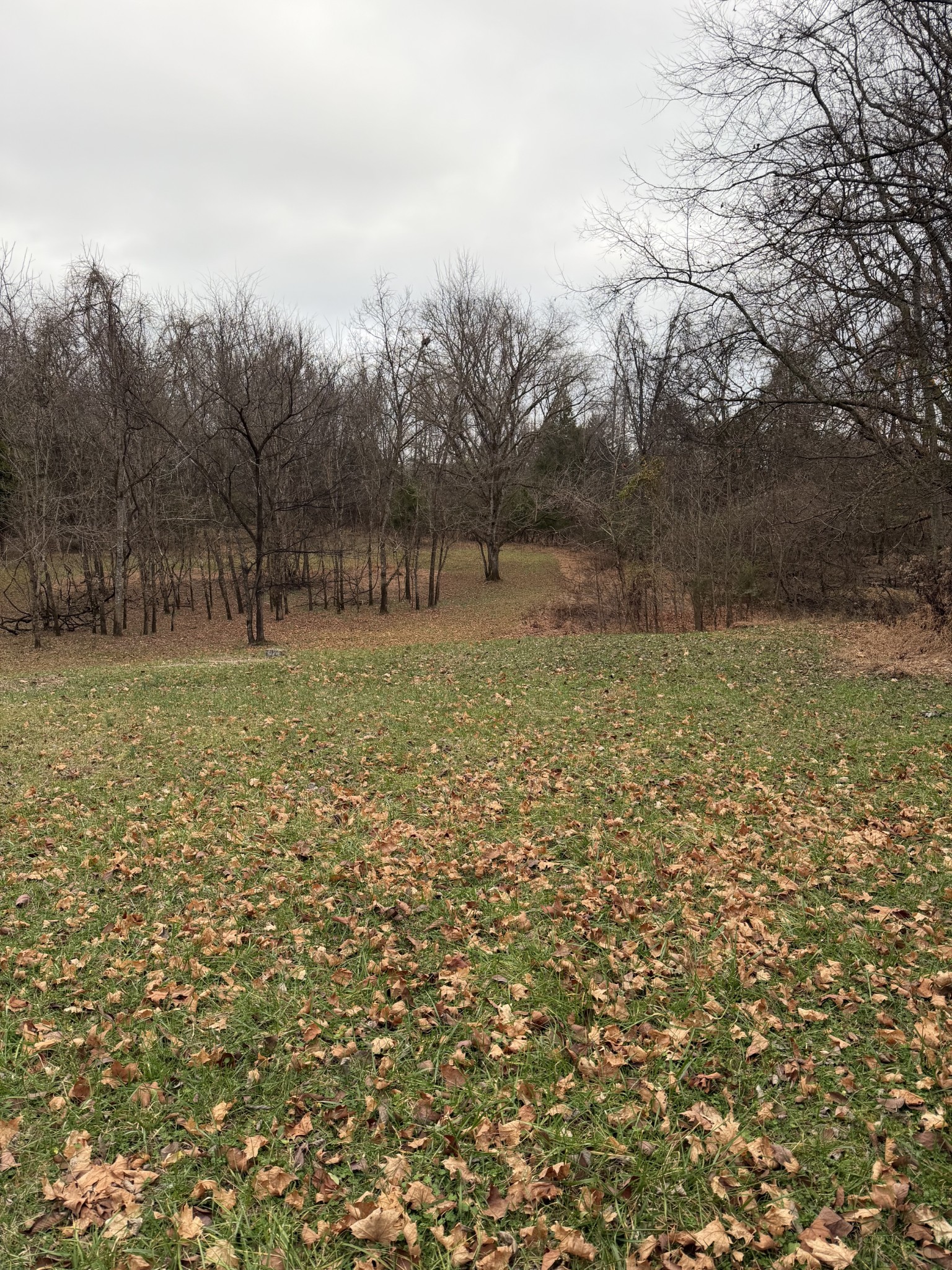 5150 John Hagar Rd Property Photo 1