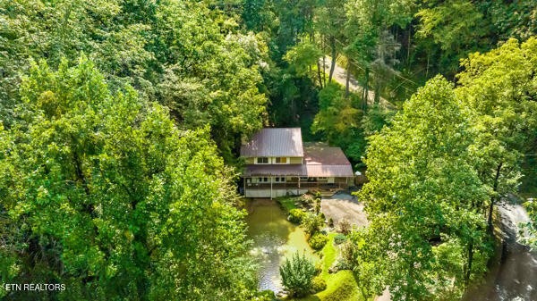 3127 Emerald Springs Loop Property Photo 4