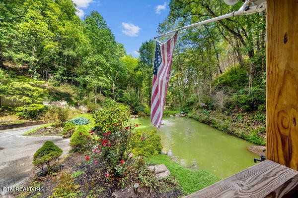 3127 Emerald Springs Loop Property Photo 7