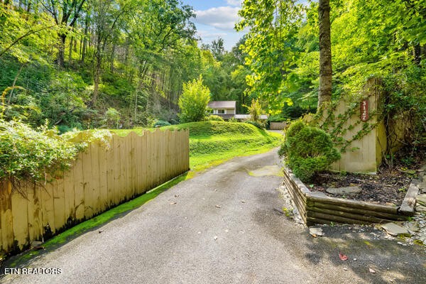3127 Emerald Springs Loop Property Photo 8