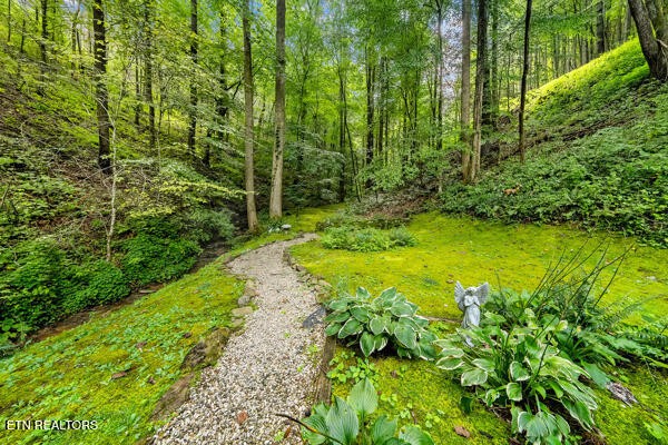 3127 Emerald Springs Loop Property Photo 16