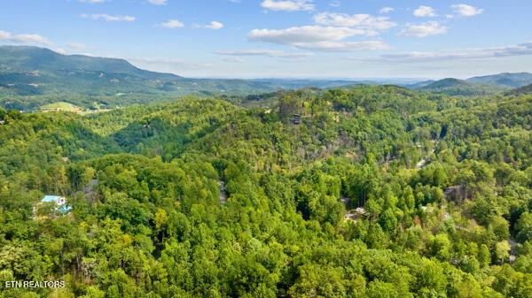 3127 Emerald Springs Loop Property Photo 53