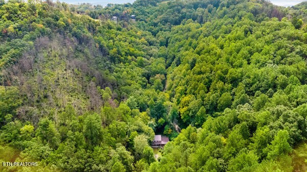 3127 Emerald Springs Loop Property Photo 54