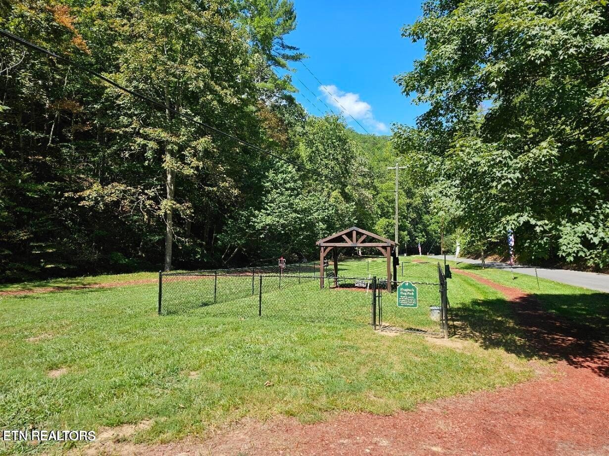 3127 Emerald Springs Loop Property Photo 58